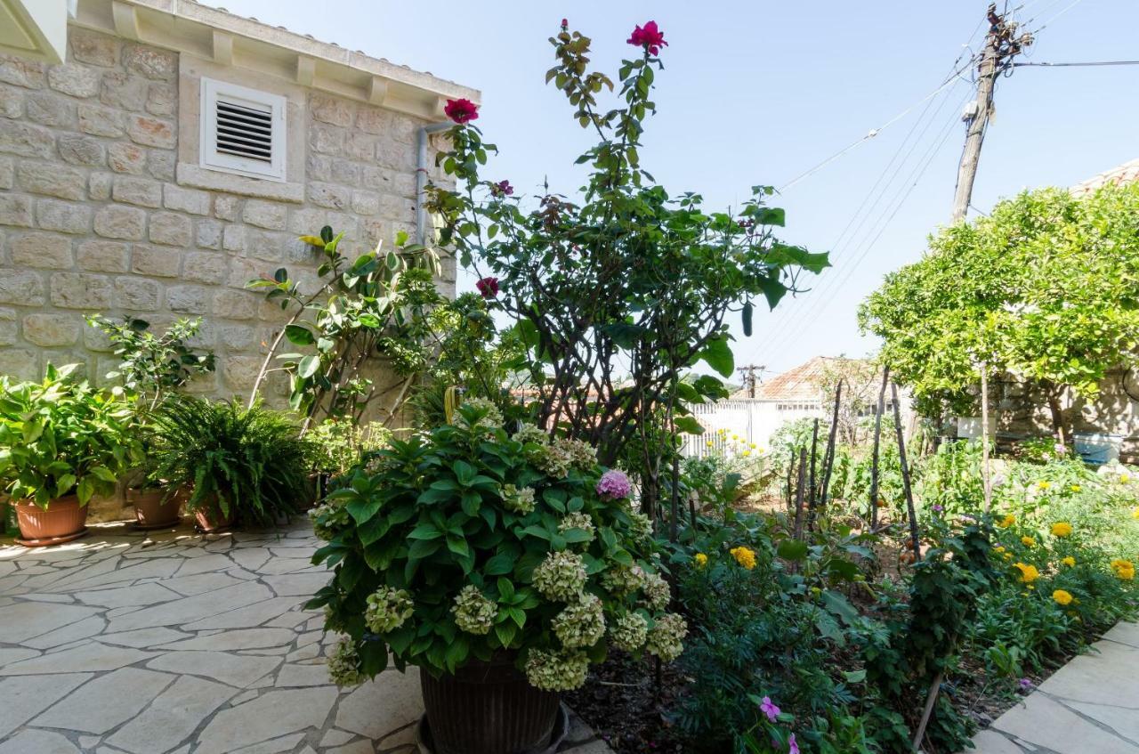Apartments Bozica Dubrovnik Exterior photo